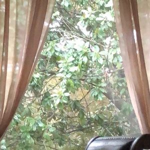 Meet your Posher, Regina